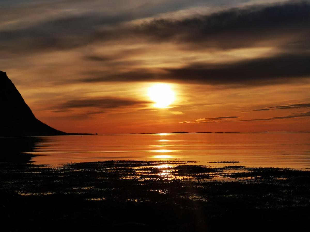 Rystad Midnight Sun And Nature Leilighet Eksteriør bilde